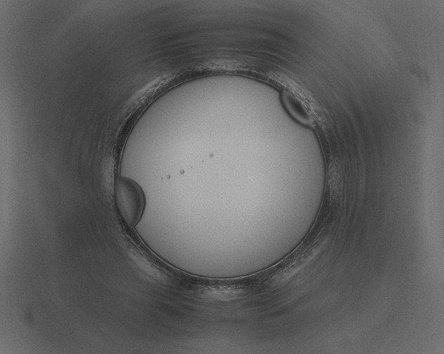 X0000116620445200912241756