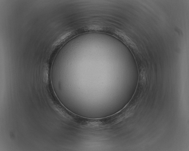 X0000116620446200912241756