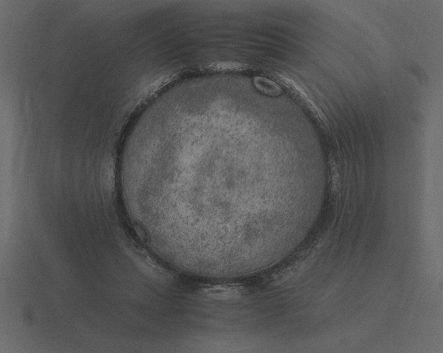 X0000116620447200912241756