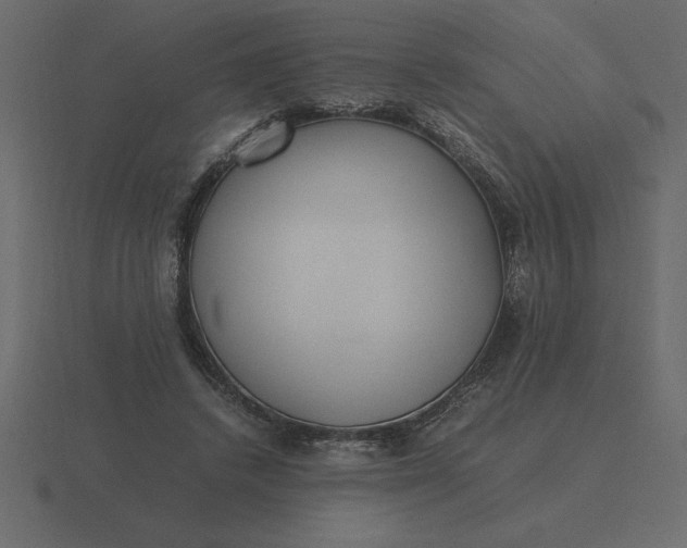 X0000116620448200912241756