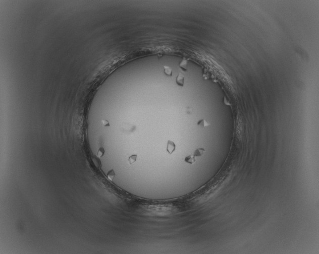 X0000116620449200912241756