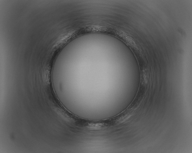 X0000116620450200912241756