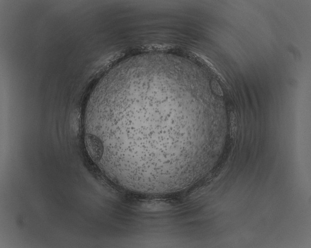 X0000116620451200912241756