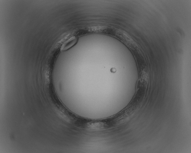 X0000116620452200912241756