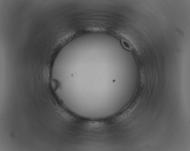 X0000116620453200912241756