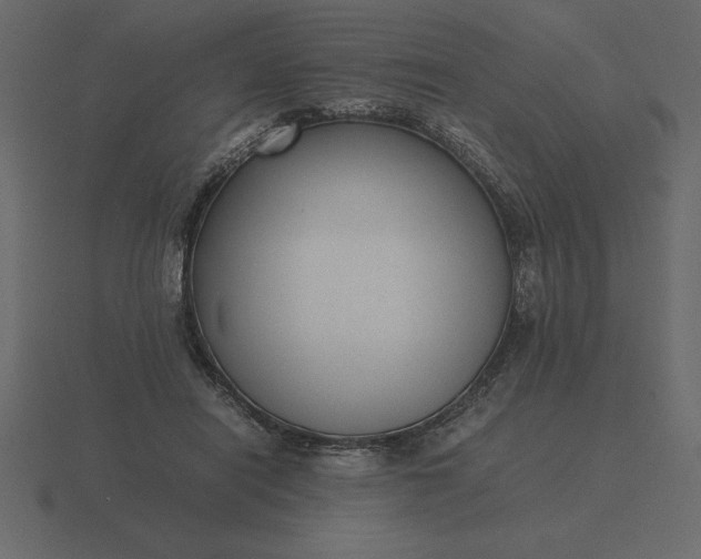 X0000116620454200912241756