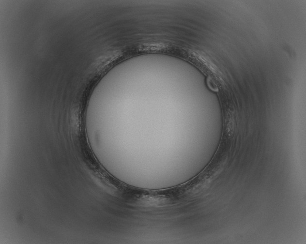 X0000116620455200912241756