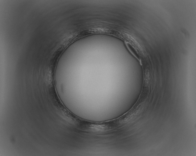 X0000116620457200912241756