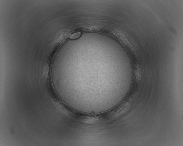 X0000116620458200912241756