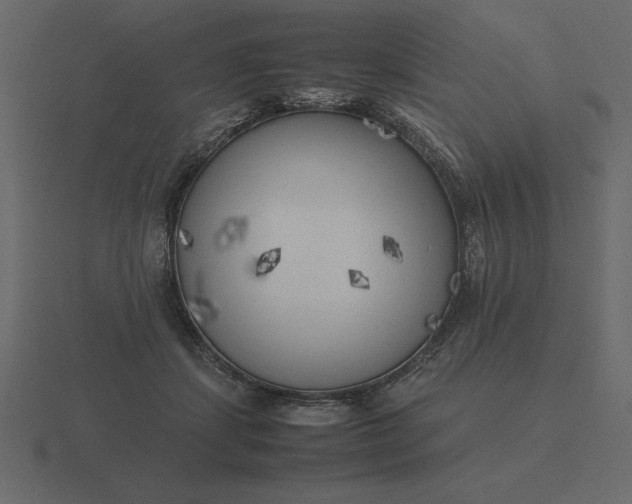 X0000116620459200912241756