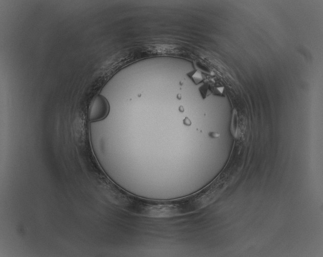 X0000116620461200912241756