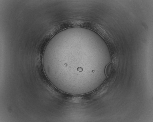 X0000116620462200912241756