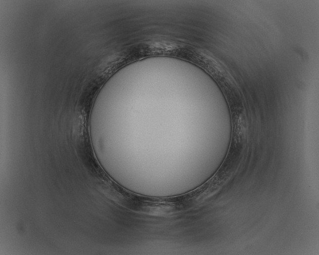 X0000116620463200912241756