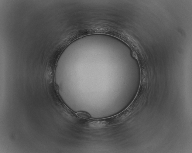 X0000116620465200912241756