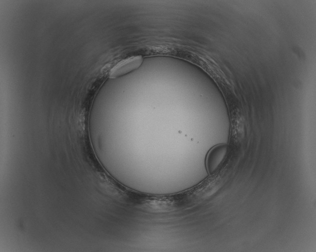 X0000116620466200912241756