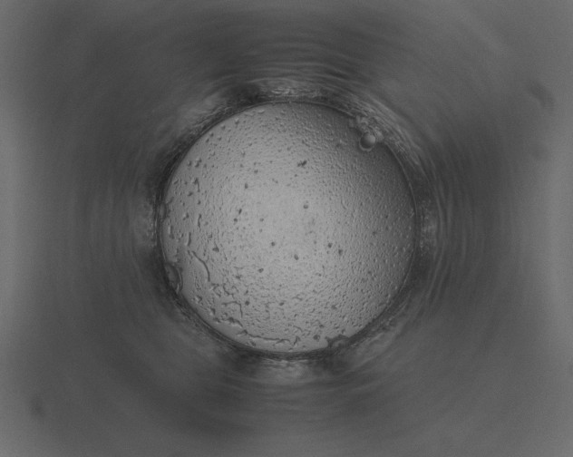 X0000116620469200912241756