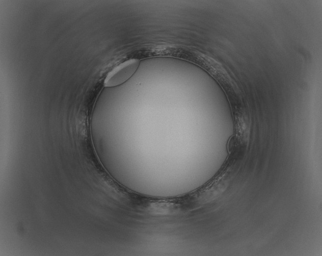 X0000116620470200912241756