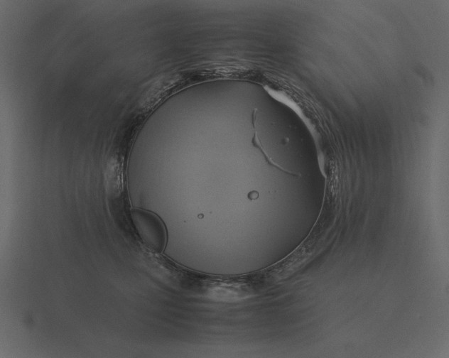 X0000116620471200912241756