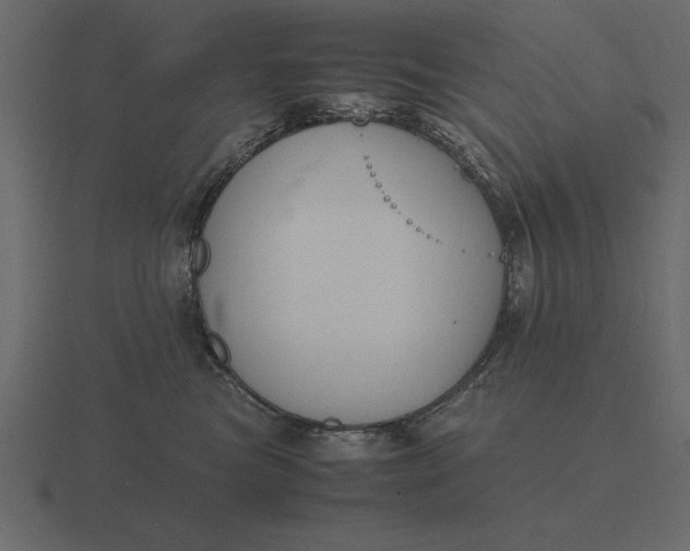 X0000116620473200912241756