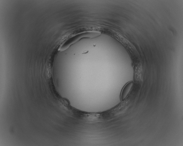 X0000116620474200912241756