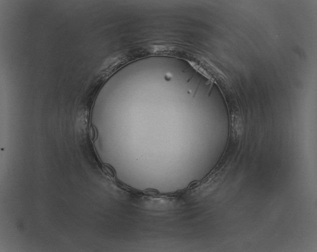 X0000116620475200912241756