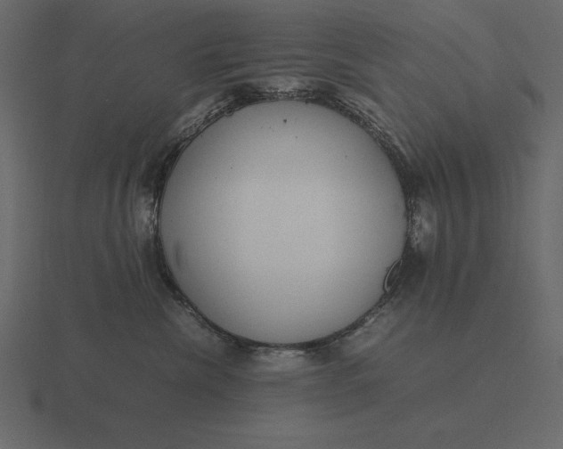 X0000116620476200912241756