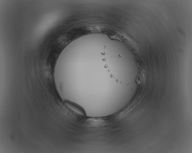 X0000116620477200912241756