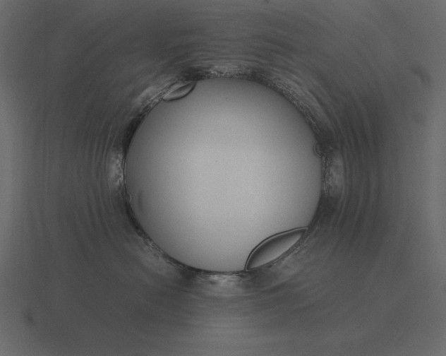 X0000116620478200912241756