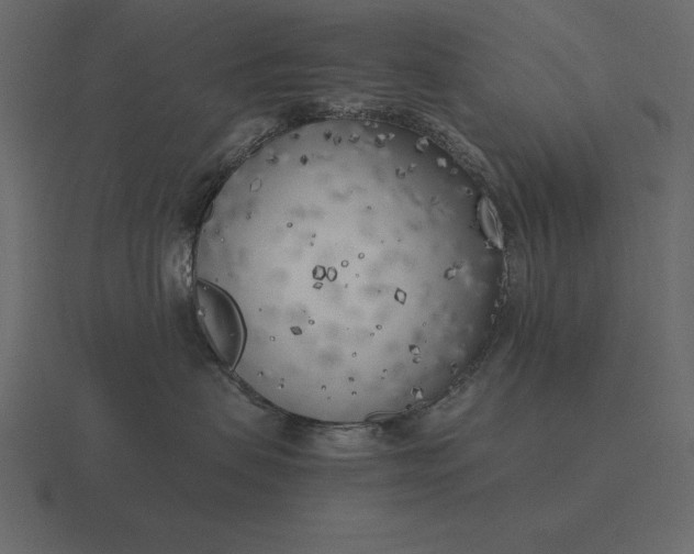 X0000116620479200912241756