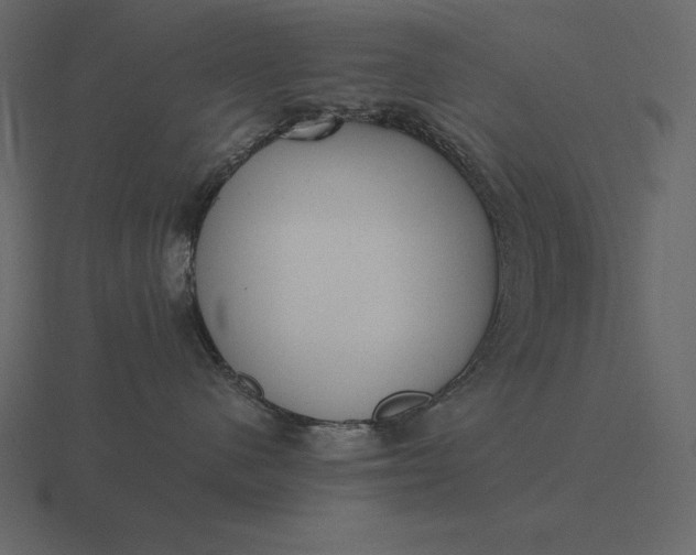 X0000116620480200912241756