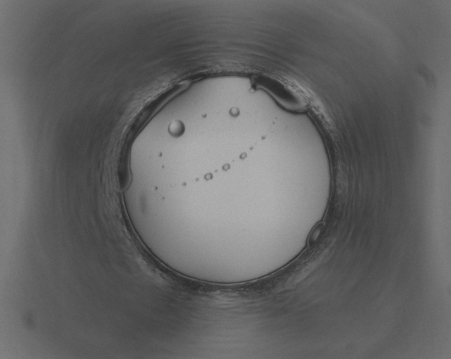 X0000116620481200912241756