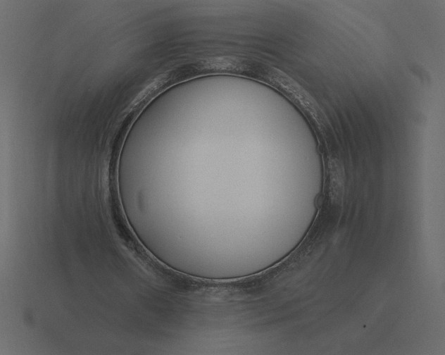 X0000116620482200912241756