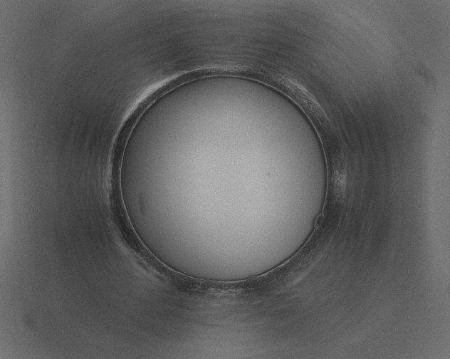 X0000116620484200912241756