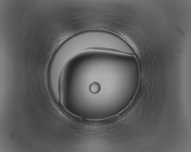 X0000116620485200912241756