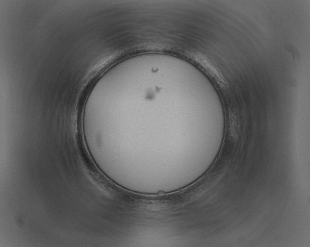 X0000116620486200912241756