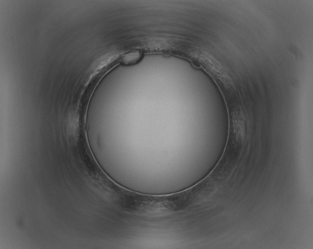 X0000116620488200912241756