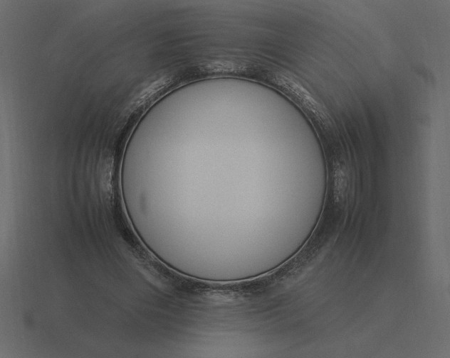 X0000116620490200912241756