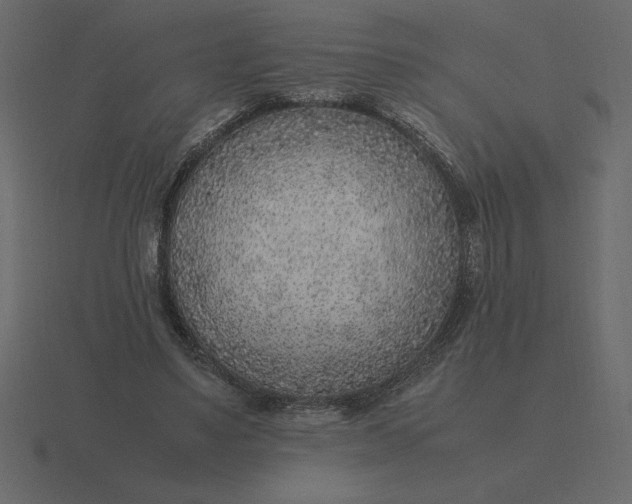 X0000116620491200912241756