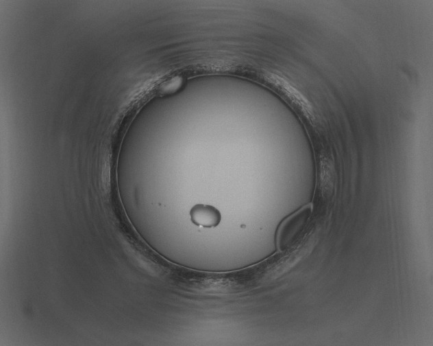 X0000116620493200912241756