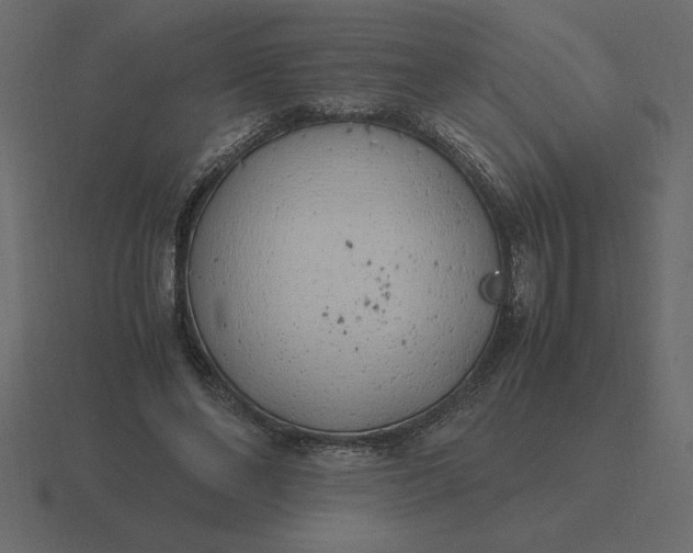 X0000116620494200912241756