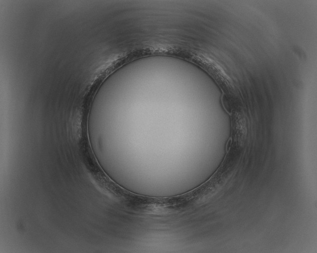 X0000116620496200912241756