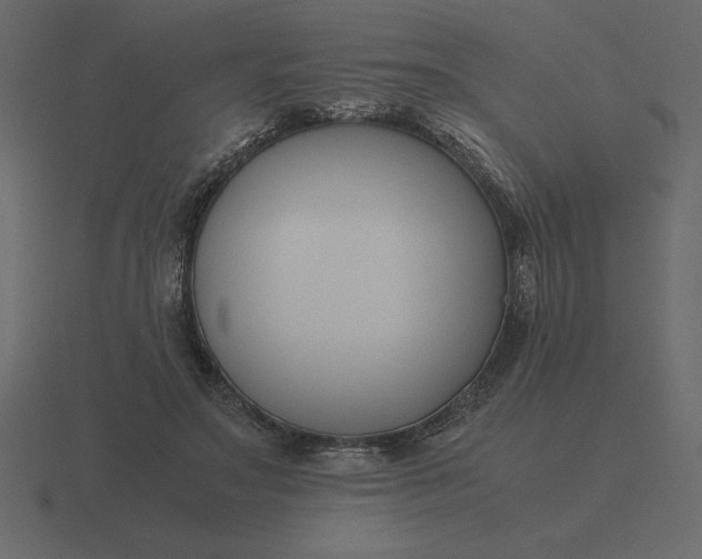 X0000116620499200912241756