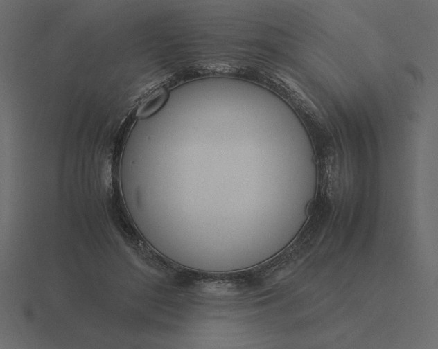 X0000116620500200912241756