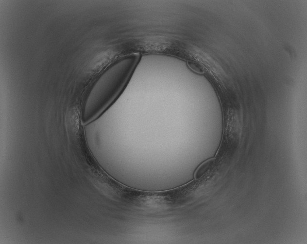 X0000116620501200912241756