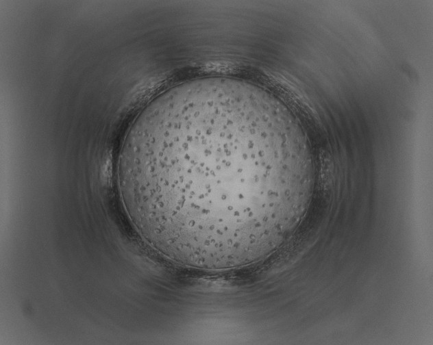 X0000116620502200912241755