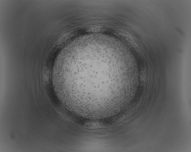 X0000116620503200912241755