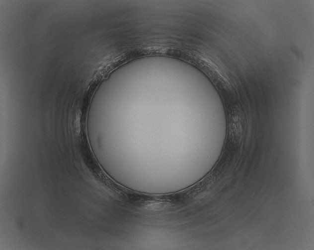 X0000116620504200912241755