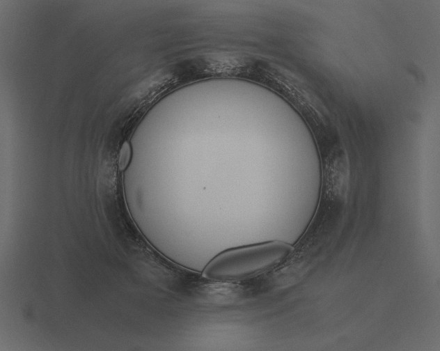 X0000116620505200912241755