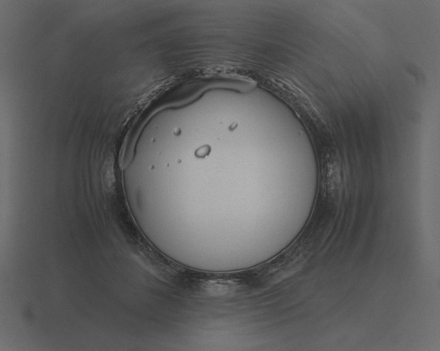 X0000116620508200912241755