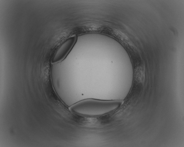 X0000116620509200912241755